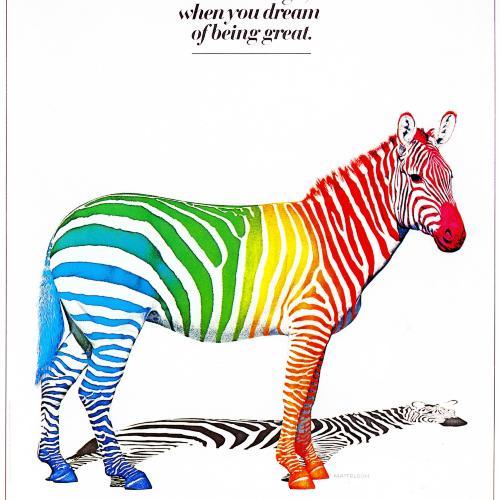 Posters depicts: Realistic illustration of a zebra with rainbow stripes against a white background.