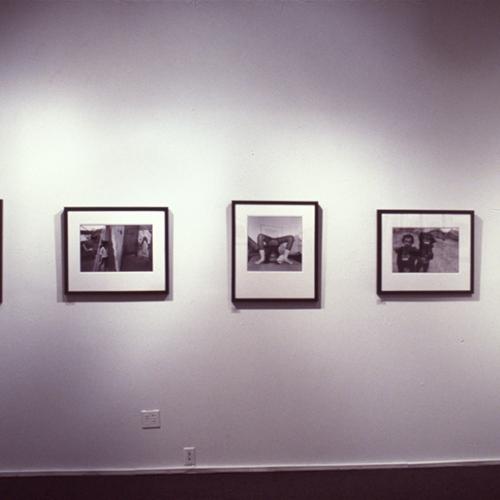Photographic Materials depicts: artworks installed in gallery