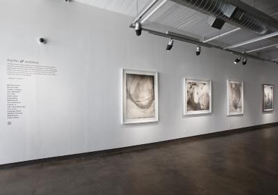 Digital Files, Photographic Materials depicts: artworks installed in gallery