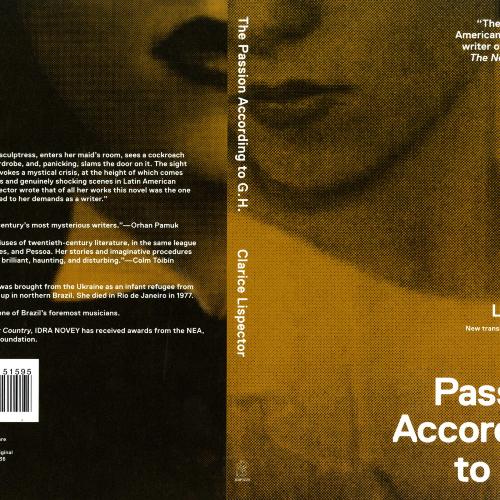 Book Covers depicts: pixelated partial portrait of a woman