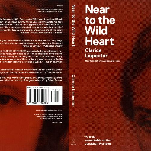 Book Covers depicts: pixelated partial portrait of a woman