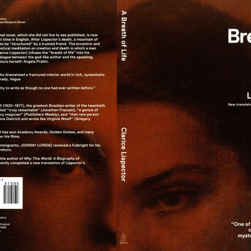 Book Covers depicts: pixelated partial portrait of a woman