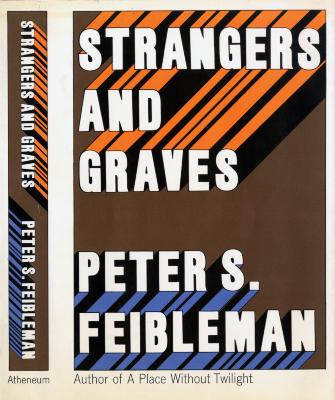 Book Covers depicts: three dimensional type that seems to shoot of the page with orange and blue stripes on a brown background