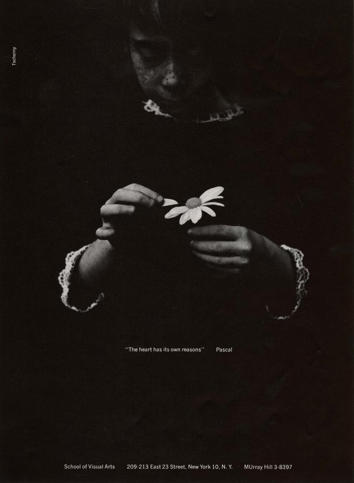 Advertisements depicts: young girl picking petal off a daisy