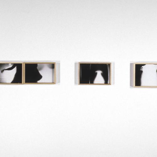 Photographic Materials depicts: Installation view
