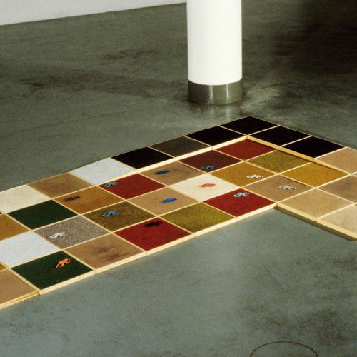 Photographic Materials depicts: color slide of artworks installed in a gallery